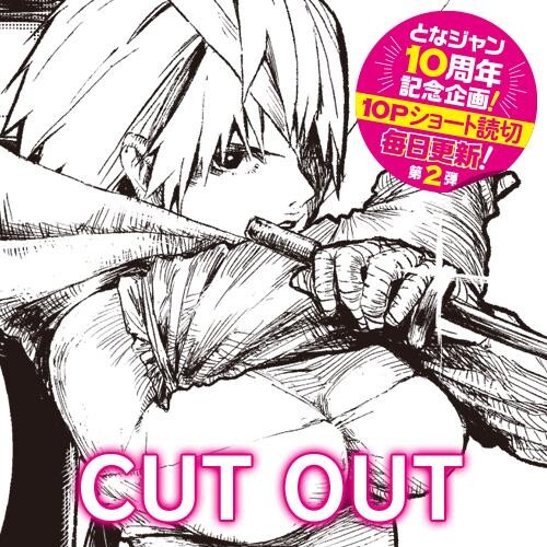 Обложка «CUT OUT»