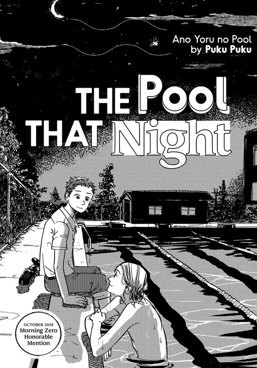 Обложка «The Pool That Night»