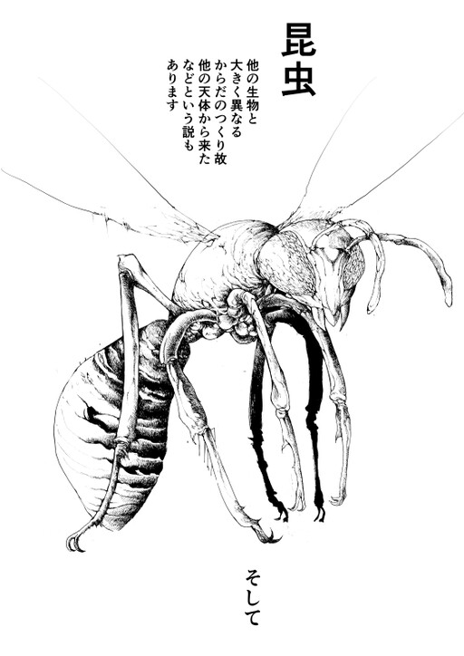 Обложка «Looking Into the Theory of Insects Coming From Outer Space»