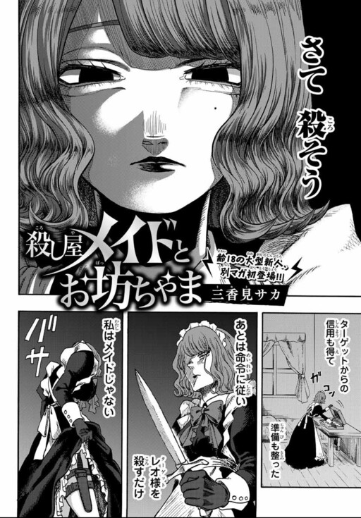The Assassin Maid and the Young Master