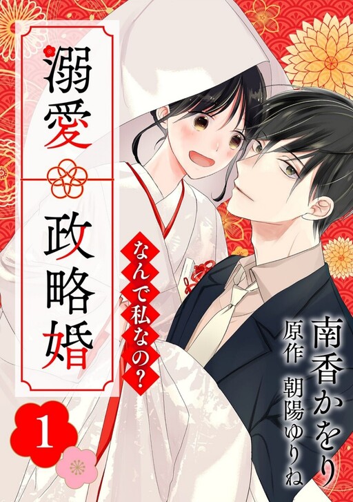 Nande Watashi nano? Dekiai Seiryakukon