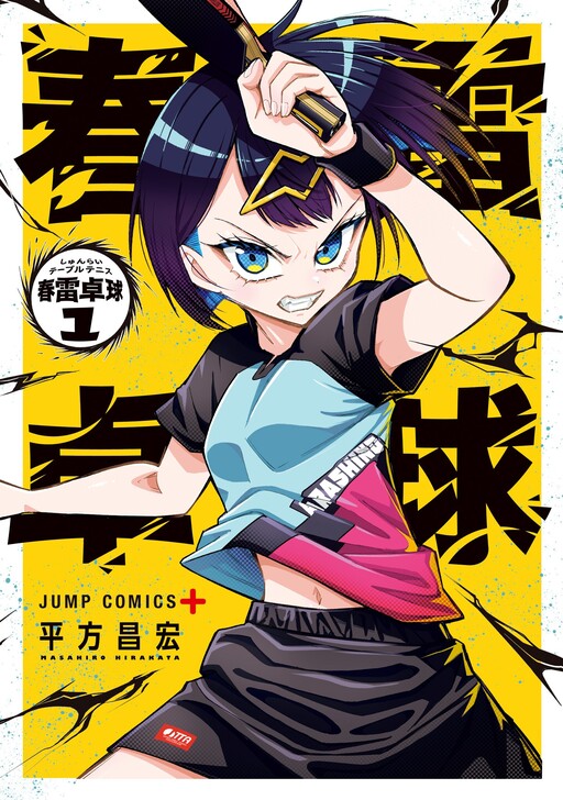 Shunrai Table Tennis cover