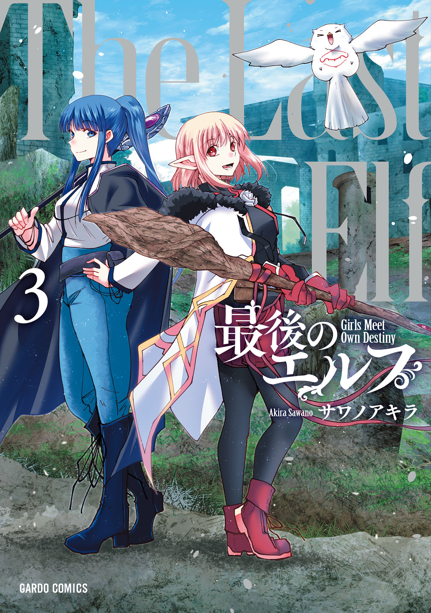 Capa de The Last Elf