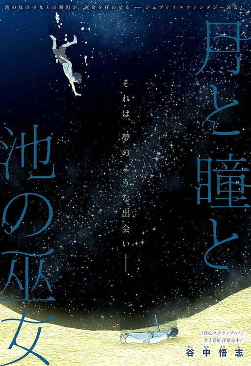 Обложка «The Moon, the Eyes, and the Shrine Maiden of the Lake»