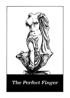Обложка «The Perfect Finger»