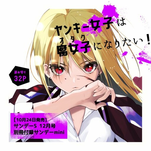 Обложка «The Yankee wants to be an Otaku (Fujoshi)!»