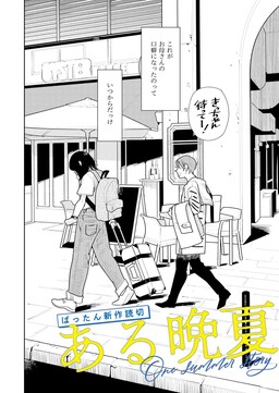 One Summer Story