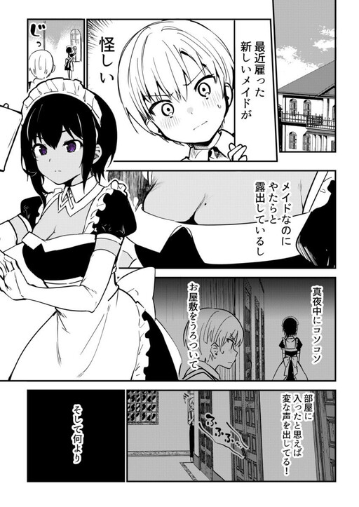 Обложка «The Maid I Hired Recently Is Mysterious»