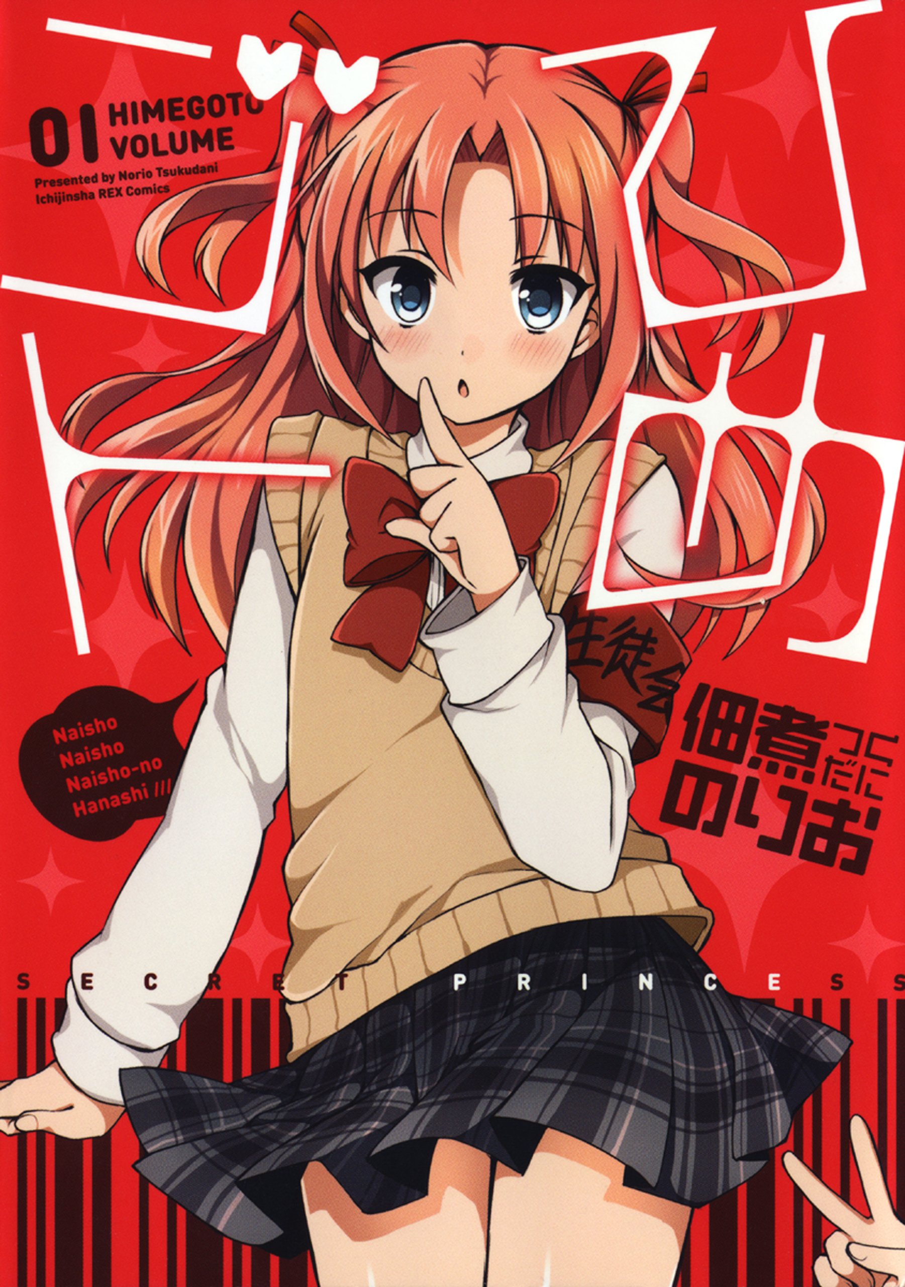 Capa de Secret Princess