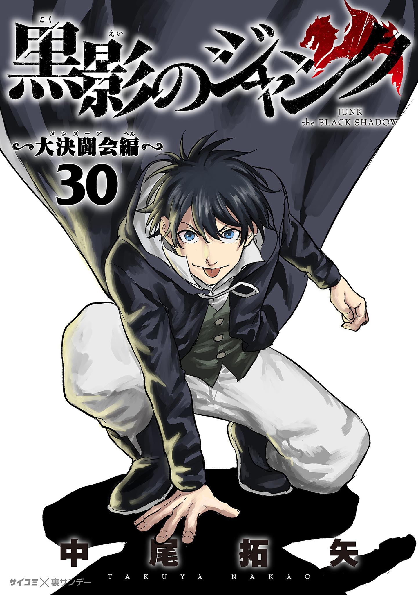 Capa de Junk the Black Shadow