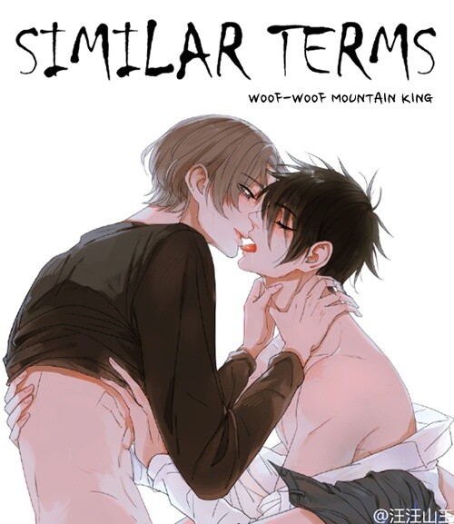 Обложка «Similar Terms»