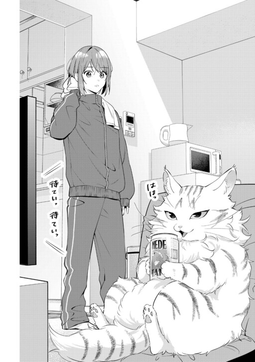 Hirotta no ga Hontoni Neko ka wa Utagawashi cover