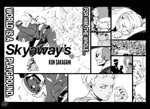 Обложка «Skyaway's»