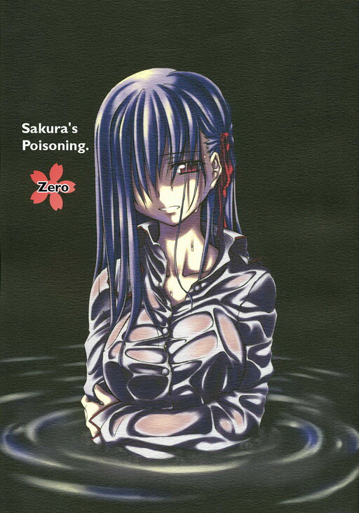 Обложка «Fate/stay night - Sakura poisoning. Zero (Doujinshi)»