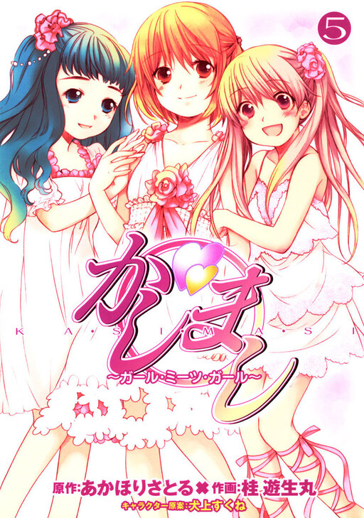 Обложка «Kashimashi ~Girl Meets Girl~»