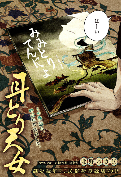 Mimi Tori Tennyo cover