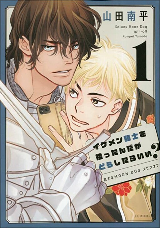 Обложка «Ikemen Kishi wo Hirottanda ga Doushitara Ii?»