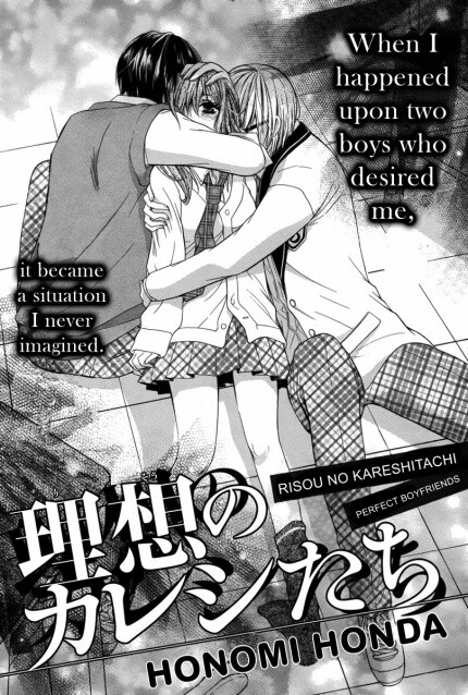 Обложка «Risou no Kareshitachi»