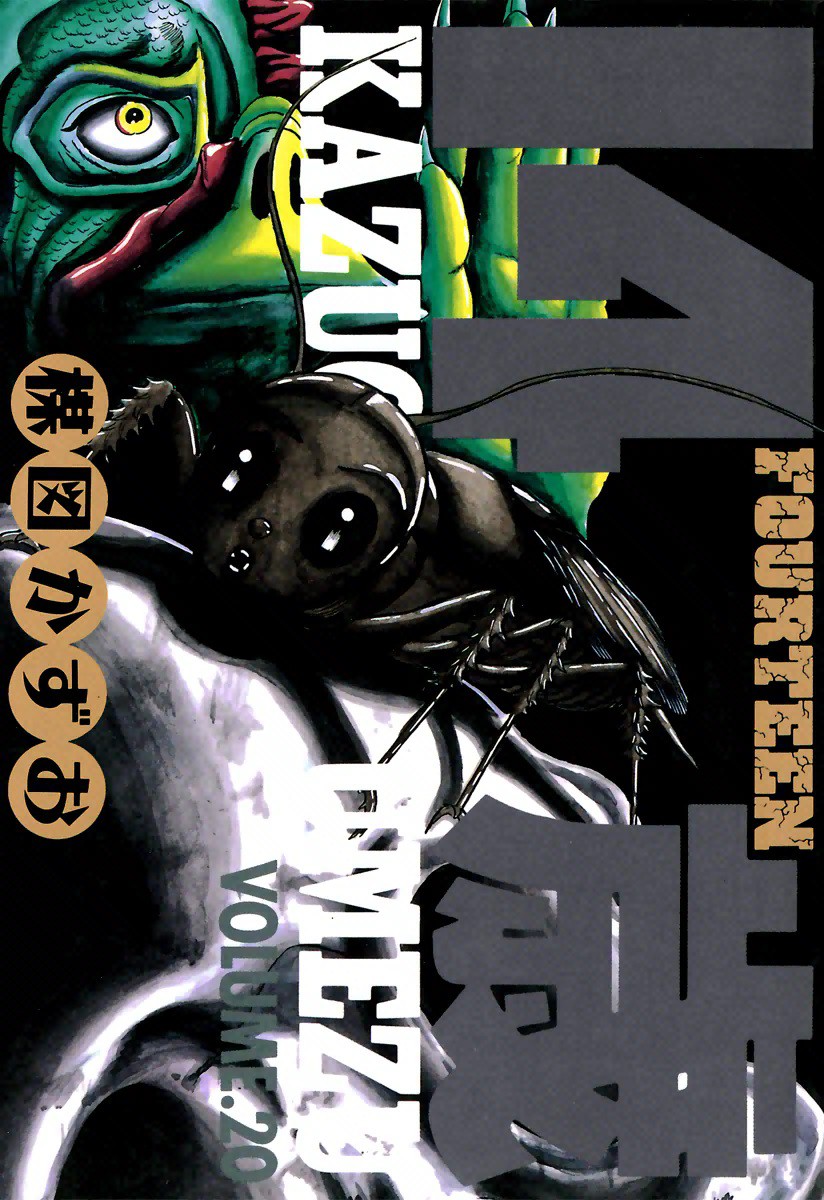 Capa de Fourteen