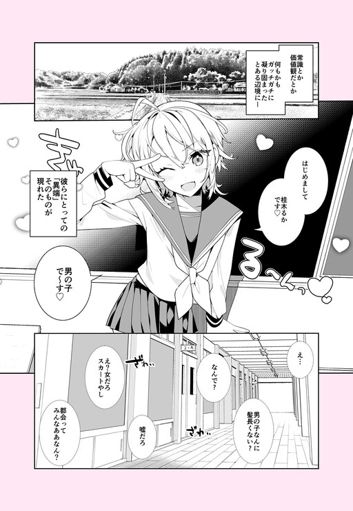 Обложка «The Beginning of a Battle With a Cross-Dressing Transfer Student!»