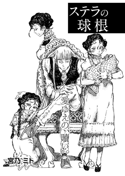 Обложка «Stella no Kyuukon»