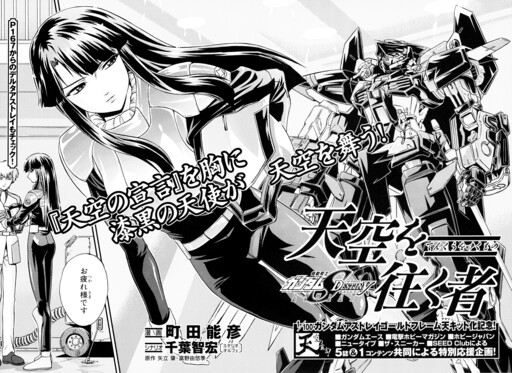Обложка «Mobile Suit Gundam SEED DESTINY ASTRAY -She Who Walks in the Sky-»