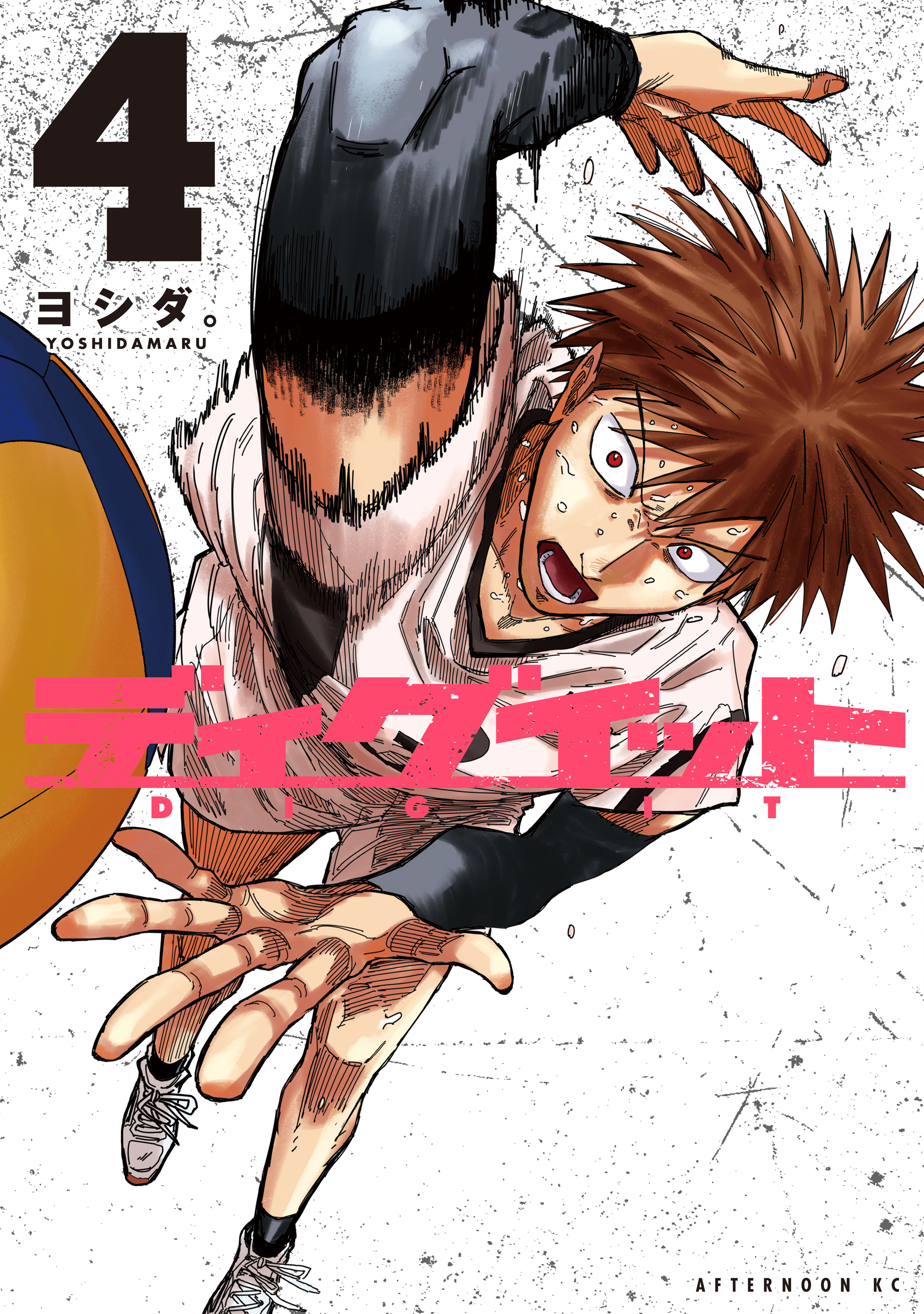 Capa de DIG IT