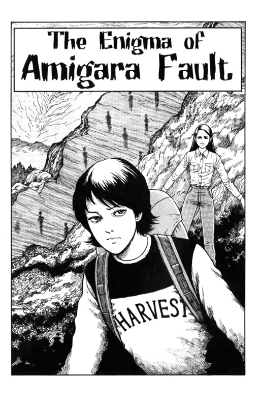 Обложка «The Enigma of Amigara Fault»