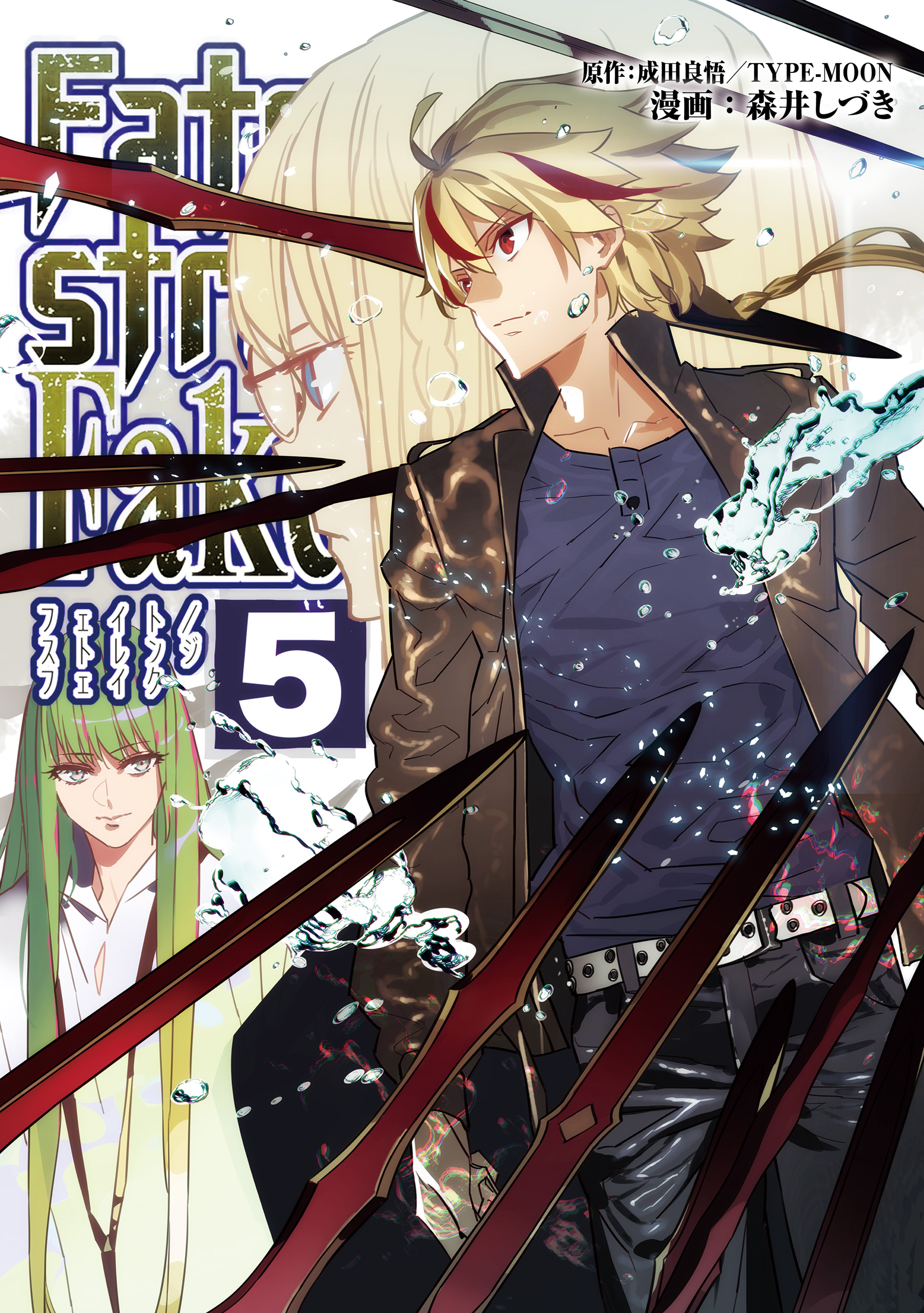 Capa de Fate/strange Fake
