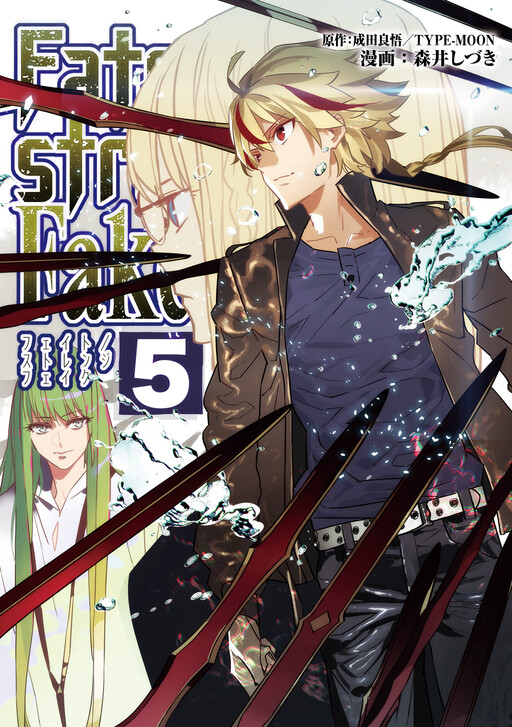 Fate/strange Fake Manga Cover
