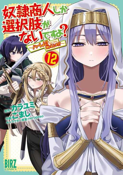 Dorei Shounin shika Sentakushi ga Nai desu yo? ~Harem? Nani Sore Oishii no?~ cover