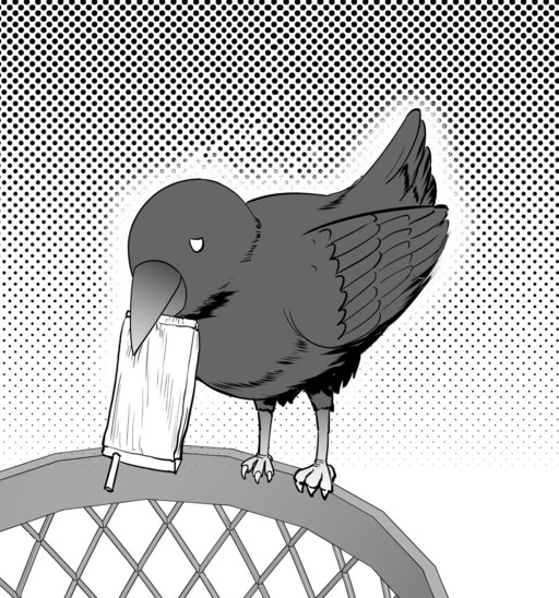 Обложка «The Transformation of a Crow Who Likes Cleanliness»