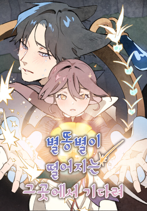 Обложка «Wait Where the Shooting Star Falls»