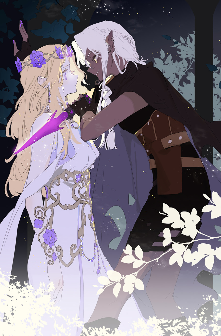 Capa de A Story About How a Human and an Elf Met