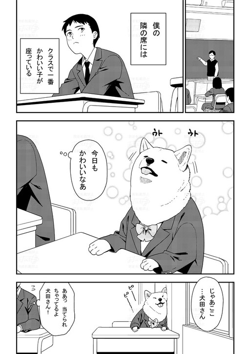 Обложка «A Manga about a Beautiful Girl»