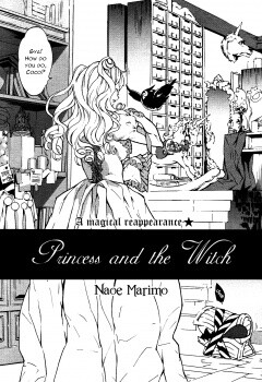 Обложка «Princess and the Witch»
