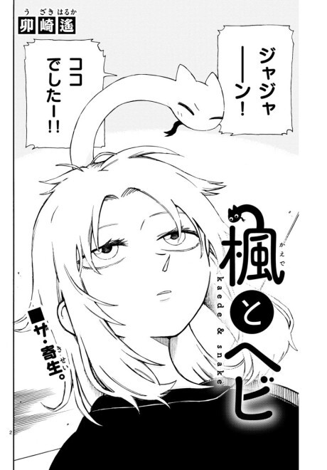 Обложка «Kaede and Snake»