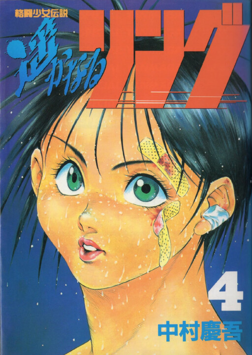 Обложка «Harukanaru Ring»