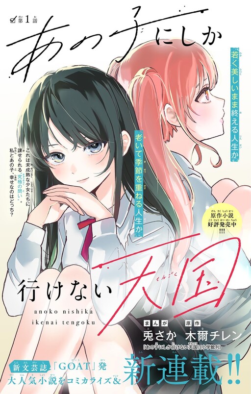 Cover of The Heaven Only She Can Go To