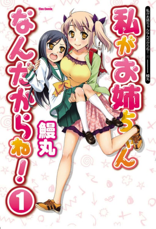 Watashi ga Oneechan Nan Dakara ne!