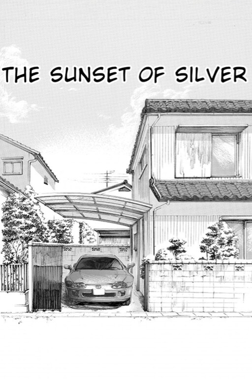 Обложка «Sunset of Silver»