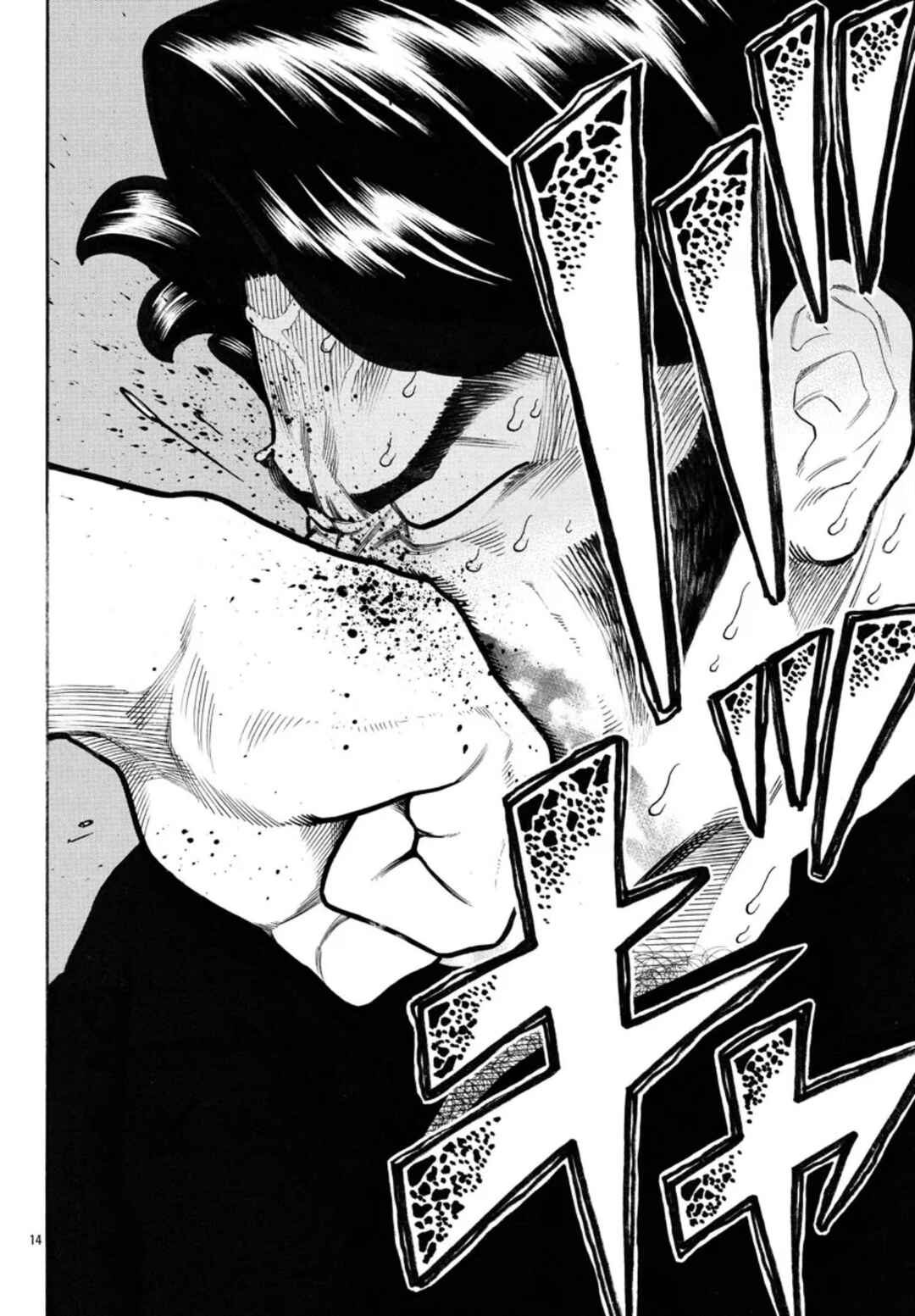 Crows Gaiden Housenka - the beginning of HOUSEN Chapter 61 - Page 15