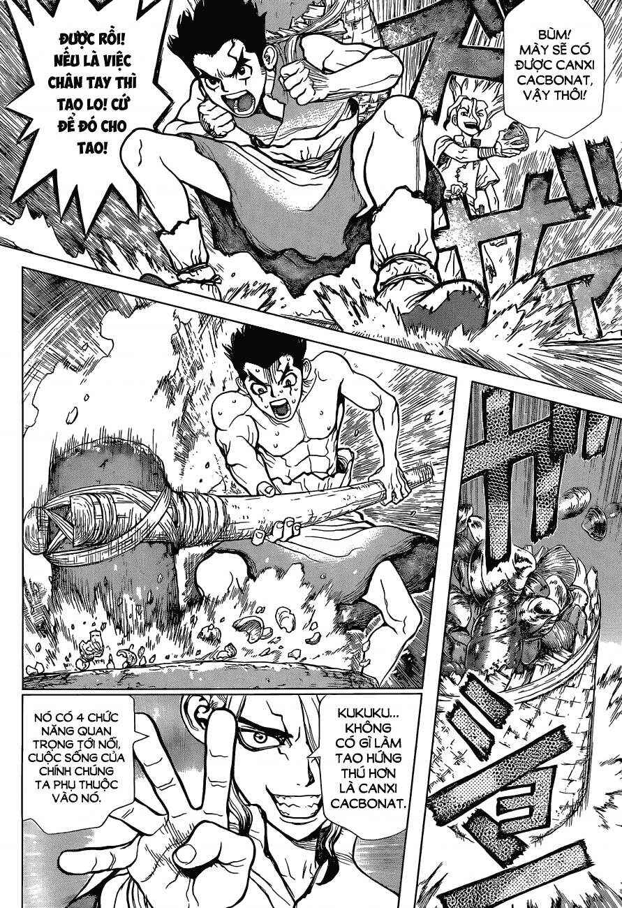 Dr.STONE Chapter 4 - Page 11