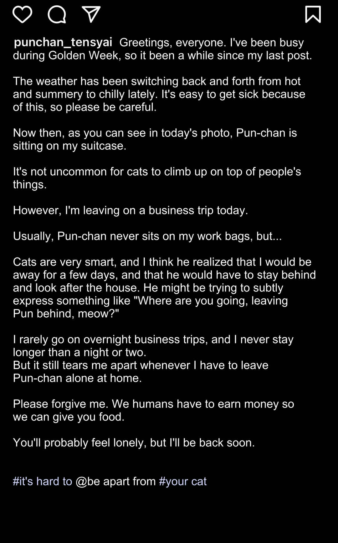 Neko Oji: Salaryman reincarnated as a kitten! Chapter 458.1 - Page 2