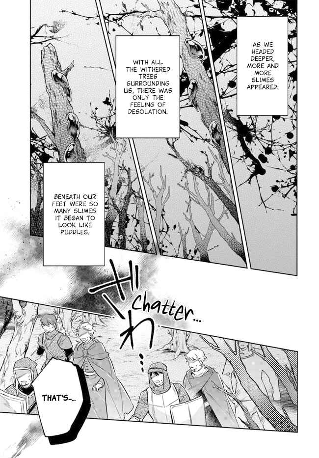 Seijo no Maryoku wa Bannou desu Chapter 34 - Page 17
