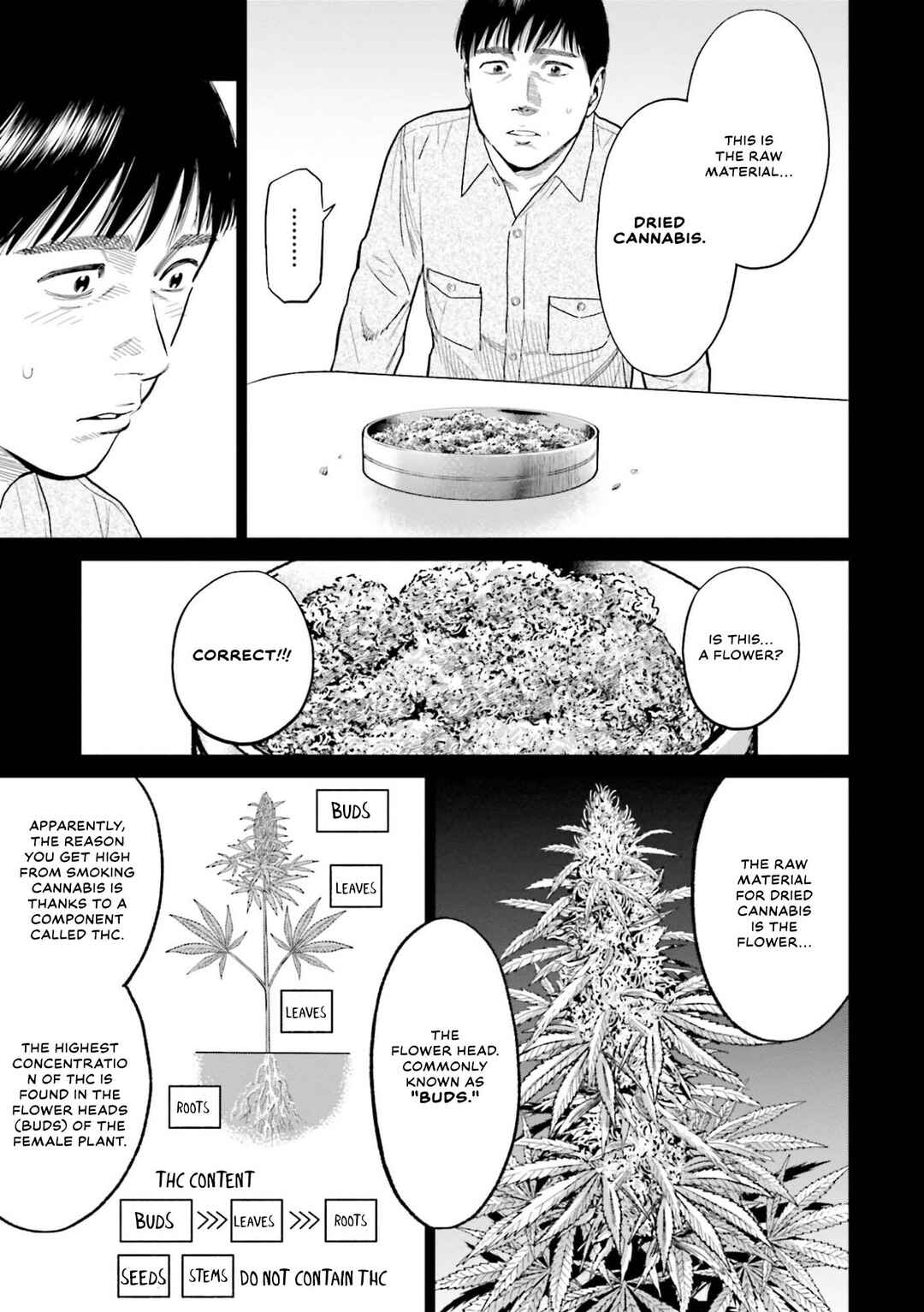Toukyou Cannabis Tokku: Taimaou to Yobareta Otoko Chapter 7 - Page 3