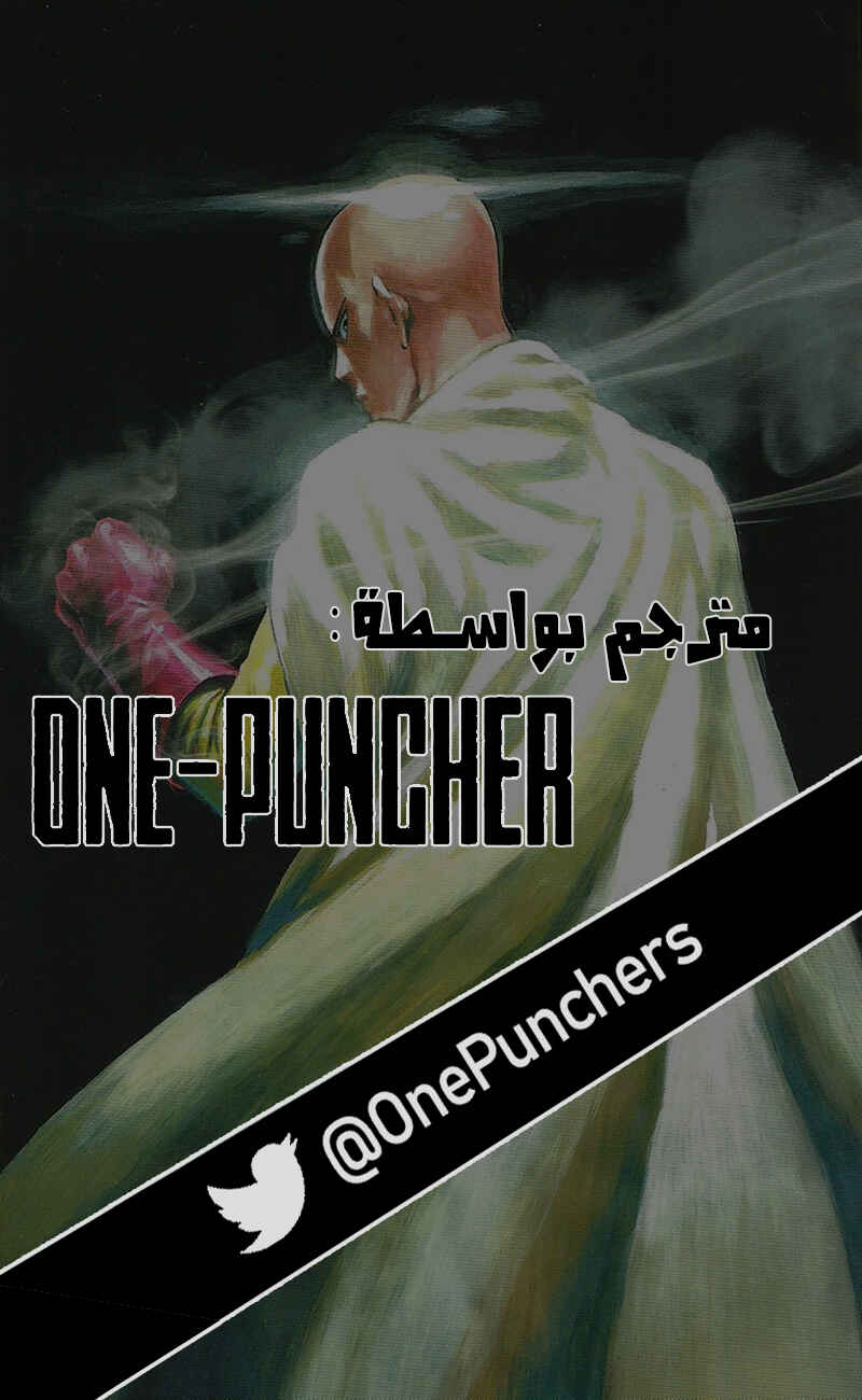One Punch-Man Chapter 118 - Page 28