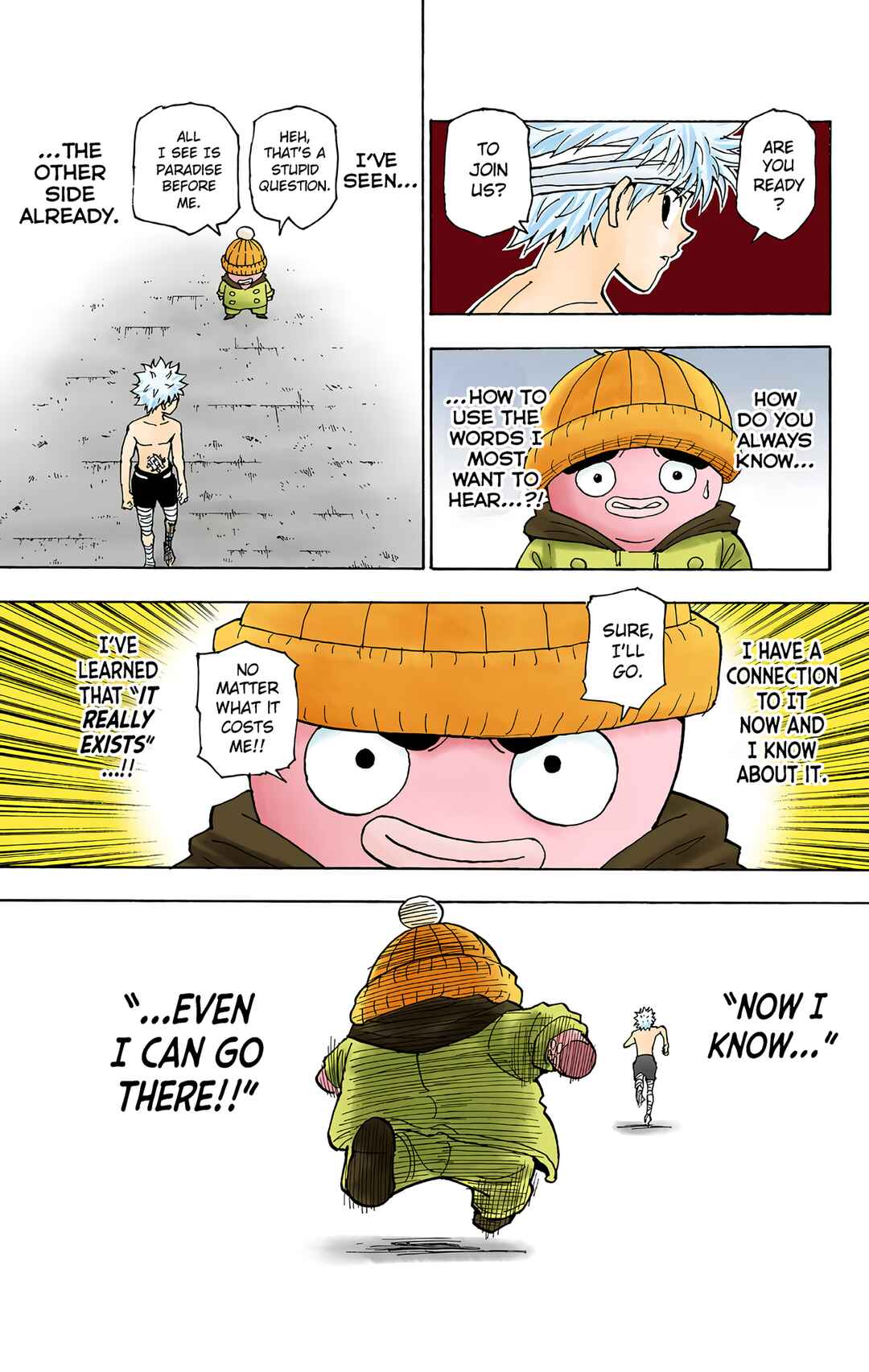 Hunter x Hunter (Official Colored) Chapter 255 - Page 12