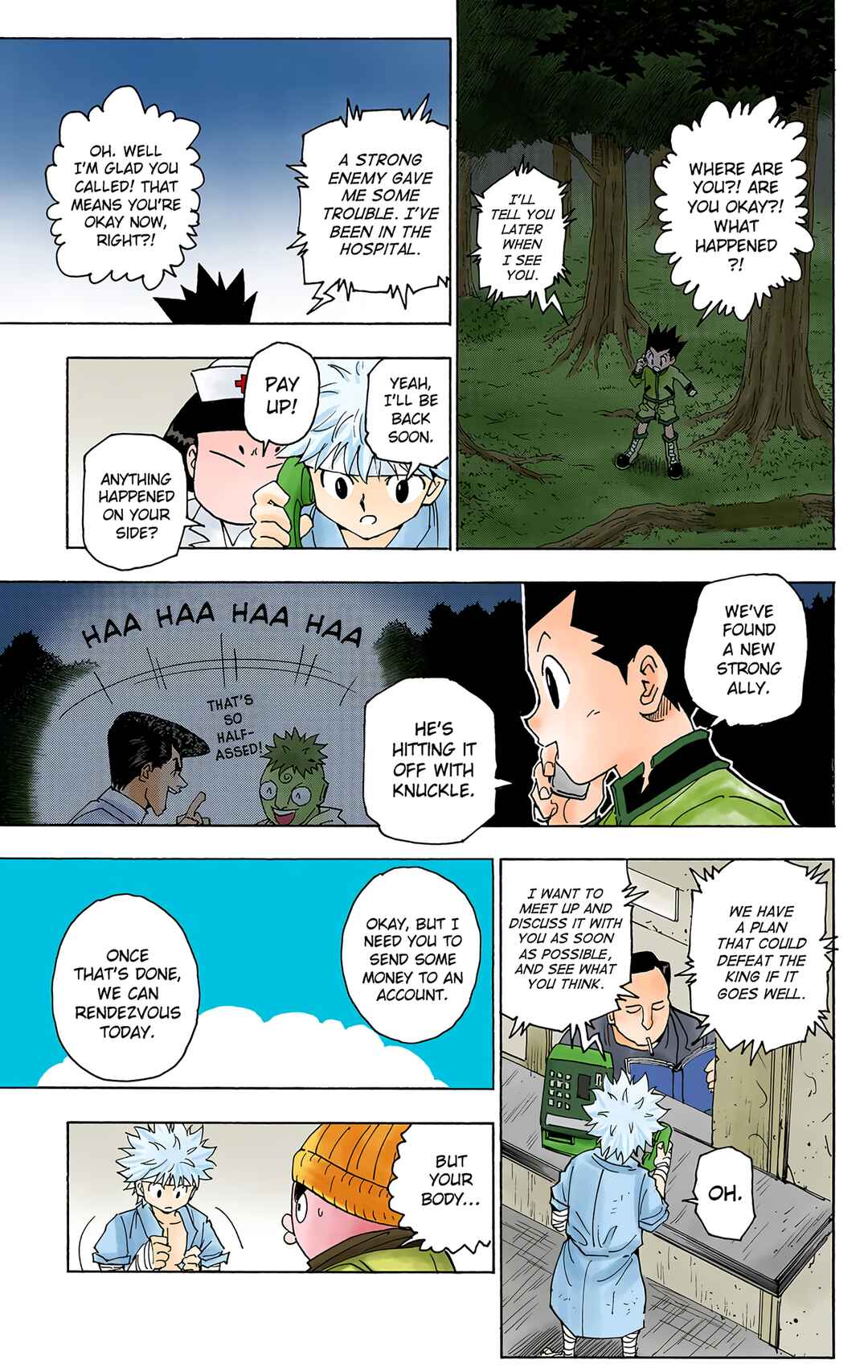 Hunter x Hunter (Official Colored) Chapter 255 - Page 6