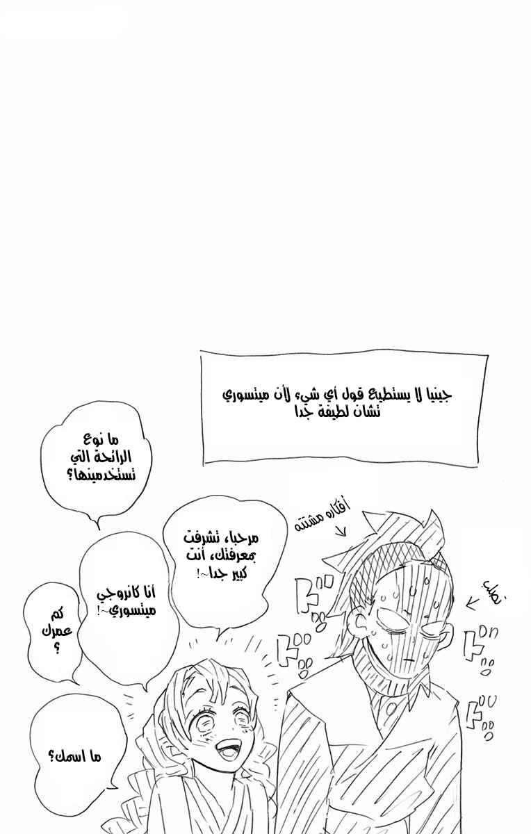 Demon Slayer: Kimetsu no Yaiba Chapter 106.5 - Page 10